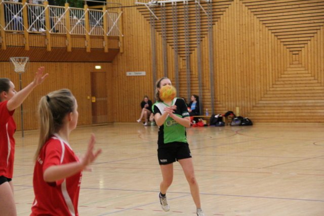 2016_01_16 Landesliga Jugend 19